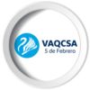 VAQCSA SEMINUEVOS GARANTIZADOS