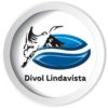 SEMINUEVOS VW DIVOL LINDAVISTA
