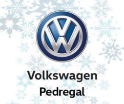 VW PEDREGAL