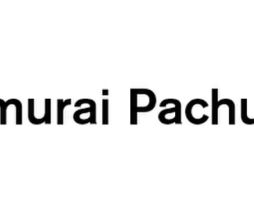 MITSUBISHI PACHUCA