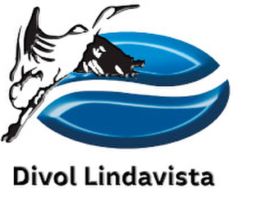 SEMINUEVOS VW DIVOL LINDAVISTA