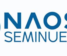 SEMINUEVOS NAOSA